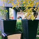 Andromache's Cozy Close To Meteora-trikala Вилла