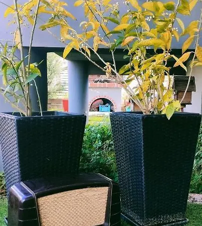 Andromache's Cozy Close To Meteora-trikala Villa