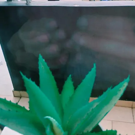 Andromache's Cozy Close To Meteora-trikala Villa Tríkala